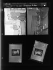 Engagement photo of women; Groups of men (4 Negatives) (January 18, 1958) [Sleeve 31, Folder a, Box 14]